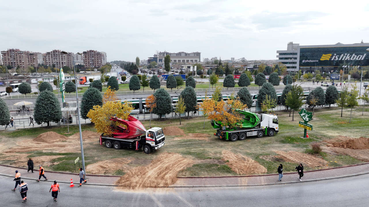 Konya’da tramvay çalışması nedeniyle kaldırılan ağaçların akıbeti belli oldu 14